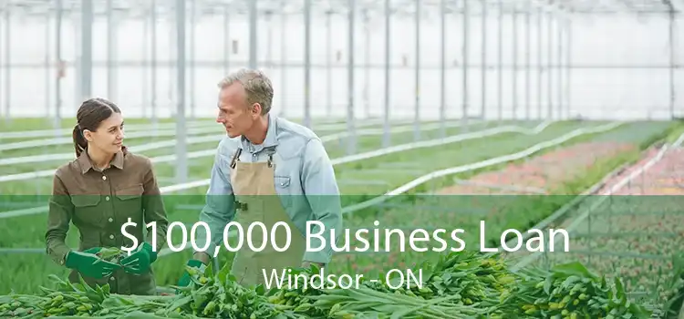 $100,000 Business Loan Windsor - ON