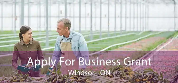 Apply For Business Grant Windsor - ON